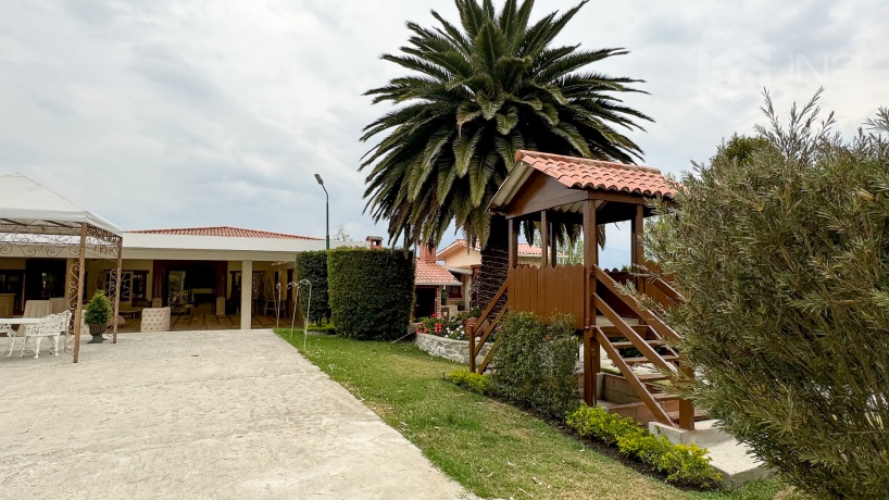 Local de eventos,Venta,1018
